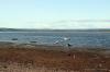 Findhorn July 2021 0063